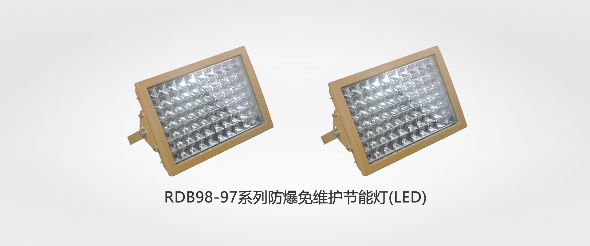 RDB98-97系列千亿体育球友会免维护节能灯(LED)