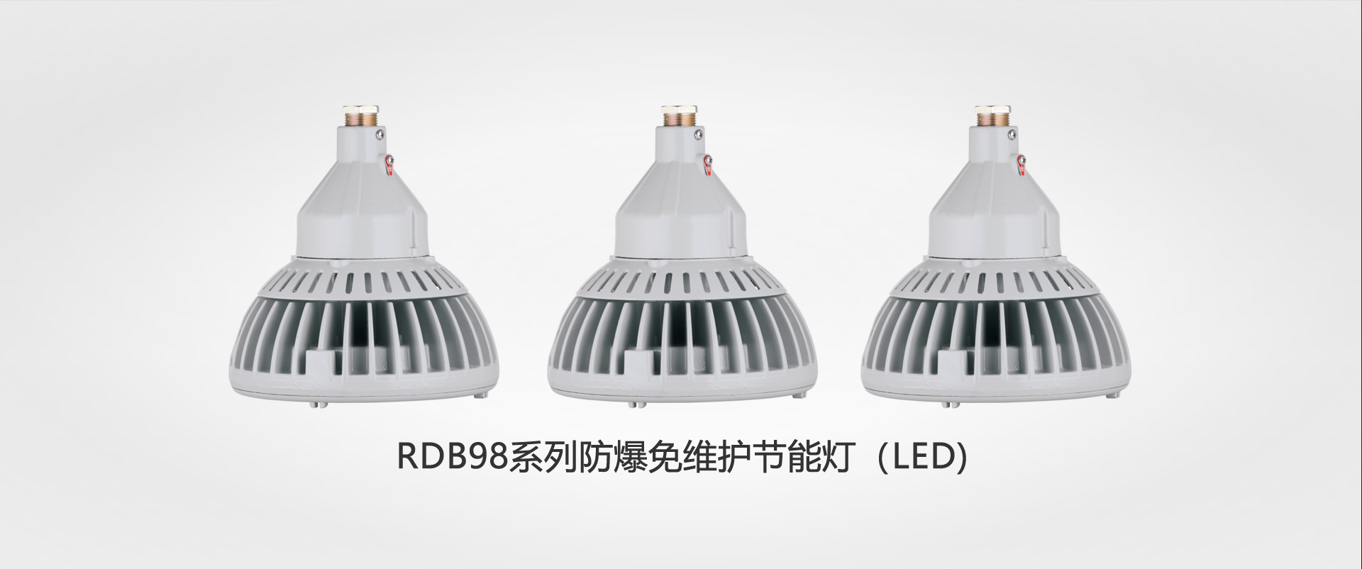 RDB98系列千亿体育球友会免维护节能灯（LED)
